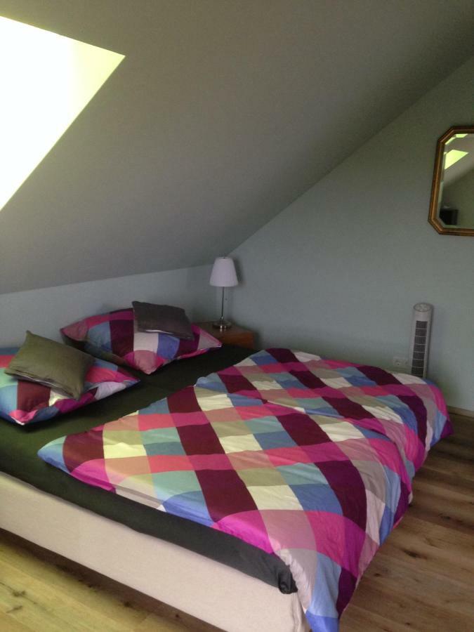 Loreley Bed And Breakfast Bornich Eksteriør bilde